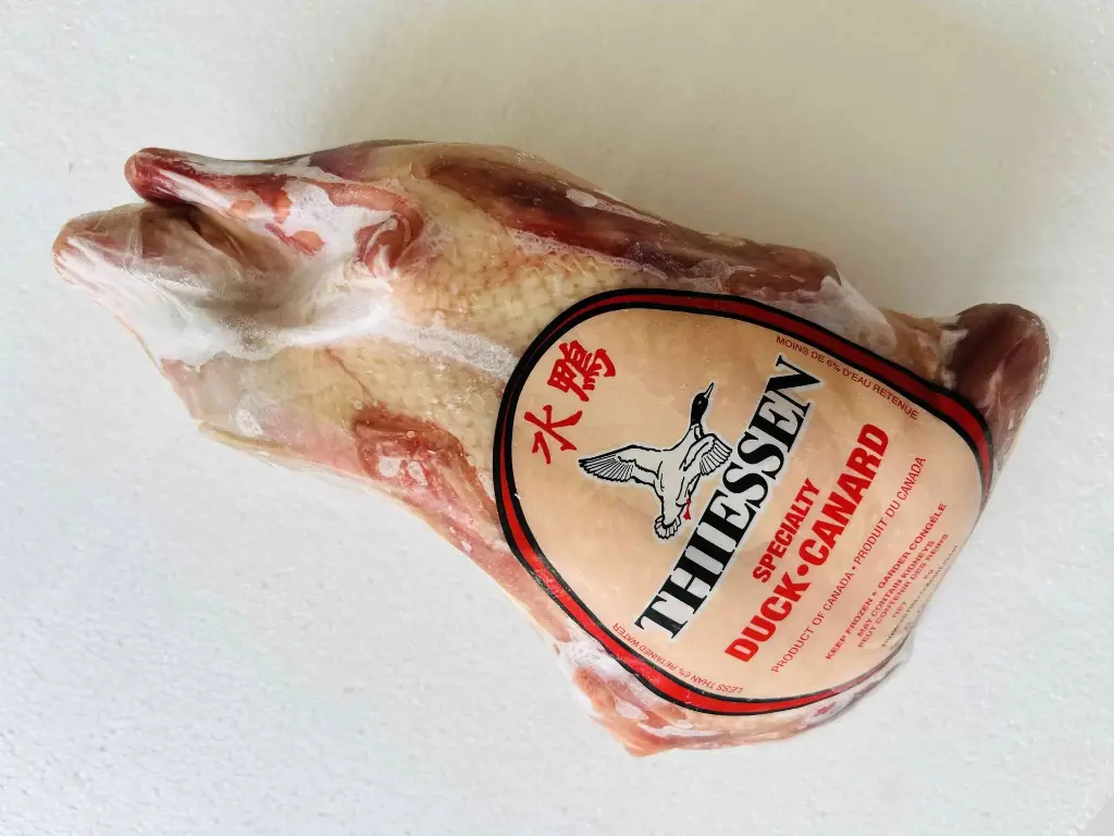 Mallard Duck | 水鴨 (箱)