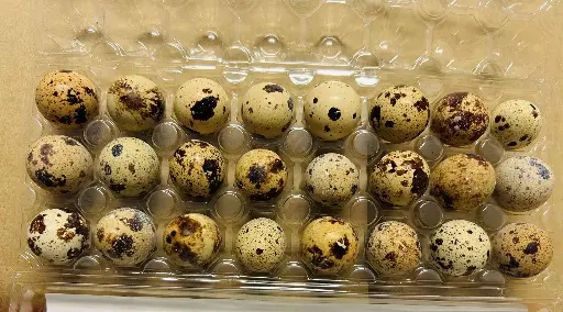 [4001] Quail Eggs | 鵪鶉蛋